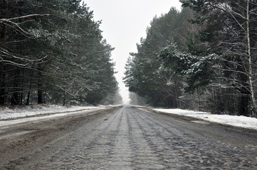  cobblestone road in the forest on a wet winter day