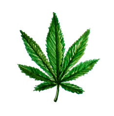  cannabis leaf. Watercolor illustration. Legalization of marijuana.