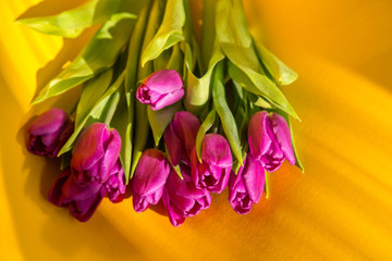  Beautiful bouquet of purple tulips on a yellow background close-up. Postcard February 14, Valentine's Day. Flower delivery. March 8, International Women's Day, Birthday, Mother's Day