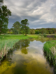 Fototapeta premium Morning on the river