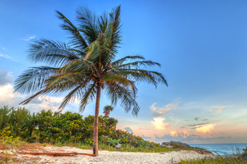 Obraz premium Scenery of Caribbean Sea coast near Playa del Carmen at sunset, Mexico