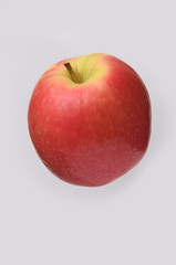 red glossy Apple isolated on white background