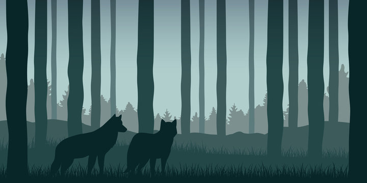 two wolves in green forest wildlife nature landscape vector illustration EPS10