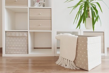 Modern furniture, white shelves