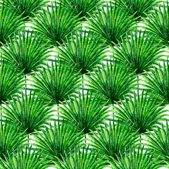 Seamless pattern with exotic palm green leaves, hand drawn watercolor illustration