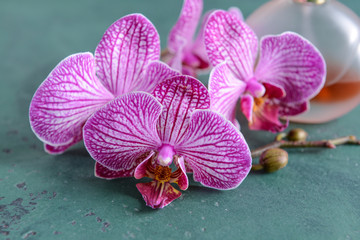 Beautiful orchid flowers and bottle of perfume on table, closeup