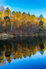 Fototapeta na wymiar Magic colorful autumn style forest trees reflecting in silent lake water