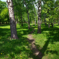 Park path