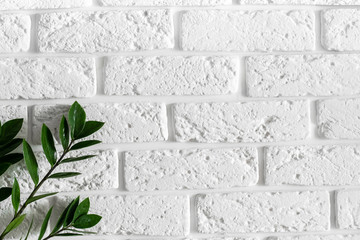 Green plant branch on white brick wall modern home interior design background, natural leaves on clean blank texture concrete cement pattern surface brickwork with copy free space for text