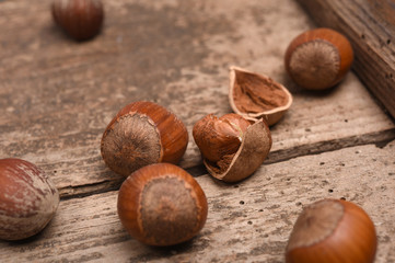 Hazelnut