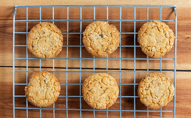 Oat cookies are homemade on the sieve on a wooden table. Its are a nutrient-rich food associated with protein and fiber.