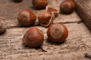 Hazelnut