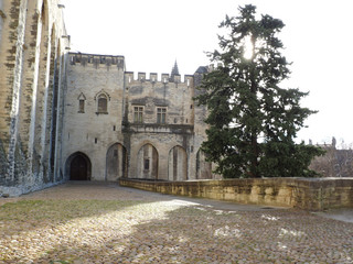 Obraz premium Palace of the Popes in Occitan