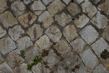 よく見かける石垣