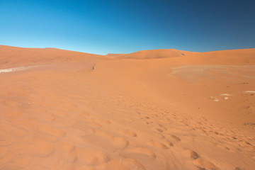 Fototapeta na wymiar Namibia Namib desert