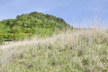 乾徳山と扇平のカヤト原