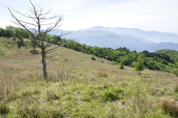 Obraz premium 乾徳山の高原と大菩薩連嶺を望む