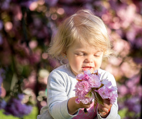 little girl blonde plays with a sprig of sakura in a flowered sakura garden