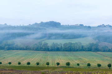 Früh morgens in den Weinbergen eines Weingutes in der Toskana im Chiantigebiet
