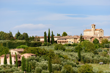 Fototapeta na wymiar Auf der Tenuta di Monaciano. Gegenüber befindet sich die Certosa di Pontignano. Heute ein Gästehaus der Universität von Siena kann besichtigt werden.