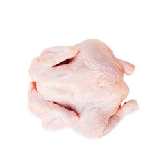 raw chicken carcass isolated on white background. Raw meat