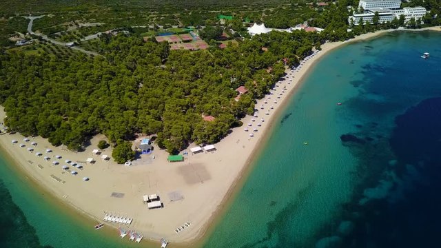 Aerial bird's eye view video taken by drone of exotic seascape and sandy beach with turquoise clear waters and pine trees, Gregolimano, North Evoia island, Greece