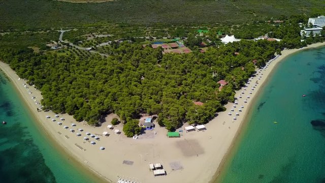 Aerial bird's eye view video taken by drone of exotic seascape and sandy beach with turquoise clear waters and pine trees, Gregolimano, North Evoia island, Greece