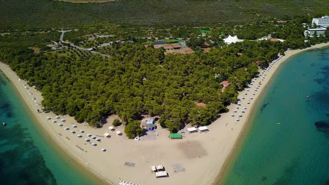 Aerial bird's eye view video taken by drone of exotic seascape and sandy beach with turquoise clear waters and pine trees, Gregolimano, North Evoia island, Greece
