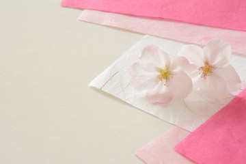 Fototapeta na wymiar 桜の花　和紙