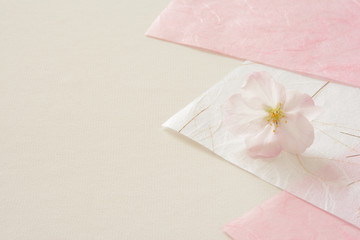 Fototapeta na wymiar 桜の花　和紙