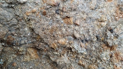 Naklejka premium tierra arenosa primera