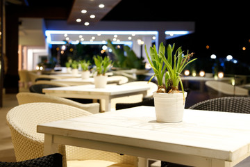white terrace table with white pot and green plant