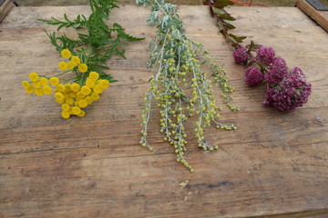 bunch of lavender flowers on wooden background