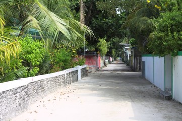 A maldivian street with typical buildings and palm trees (Ari Atoll, Maldives)