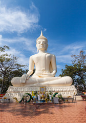 Giant big Buddha statue with blue sky in nature landscape