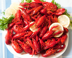 Boiled crawfish on plate close up