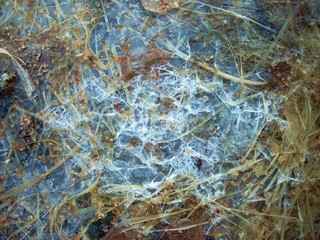 The cracked ice under your feet looks very creative. It resembles a work of art
