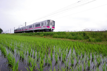 田園風景の中を走るローカル線