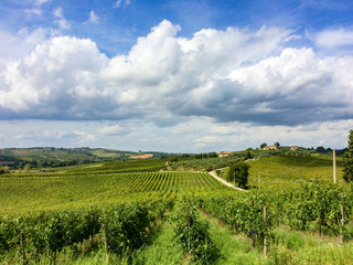Fototapeta na wymiar In Mitten der Weinberge der Tenuta di Monaciano befinden sich die Ferienhäuser die vom Besitzer des Weingutes betrieben werden. Hier baut man einen hervorragenden Chianti an.