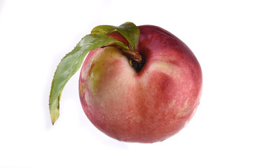 nectarine