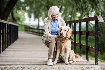 smiling senior woman standing on knee near adorable dog on wooden bridge