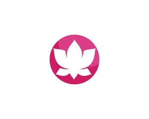  Lotus flowers logo Template