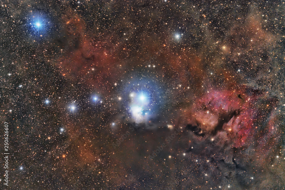 Wall mural imaged with a telescope and a scientific ccd camera