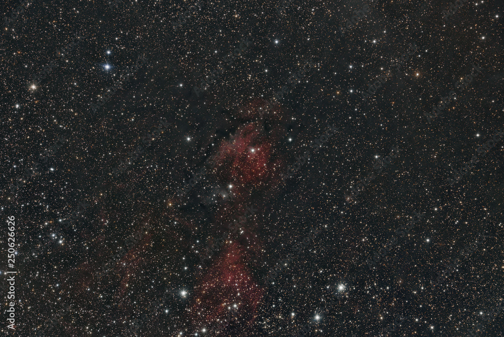 Wall mural imaged with a telescope and a scientific ccd camera