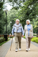 happy smiling senior couple walking in park - obrazy, fototapety, plakaty