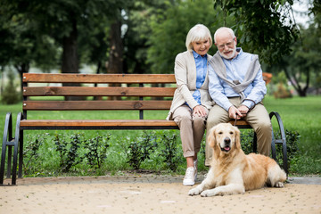 nice senior couple sitting on wooden bench and adorable dog lying nearby on paved sidewalk - Powered by Adobe