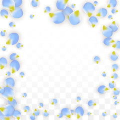 Obraz premium Vector Realistic Blue Petals Falling on Transparent Background. Spring Romantic Flowers Illustration. Flying Petals. Sakura Spa Design. Blossom Confetti.