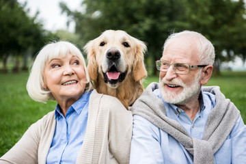 smiling senior couple looking at adorable dog while resting in park - Powered by Adobe
