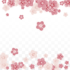 Vector Realistic Pink Flowers Falling on Transparent Background.  Spring Romantic Flowers Illustration. Flying Petals. Sakura Spa Design. Blossom Confetti. Design Elements for Wedding Decoration.