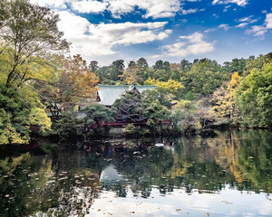 Fototapeta premium Temple across Inokashira Pond